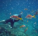 Imagine Cruises - Accommodation Coffs Harbour