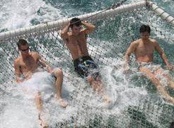 Tex Tours - Accommodation Coffs Harbour 2