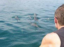 Tex Tours - Accommodation Coffs Harbour 3
