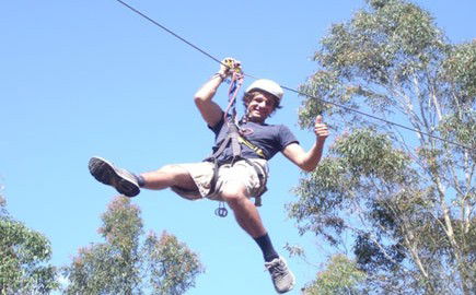 TreeTops Newcastle - Accommodation Coffs Harbour 1