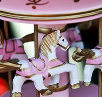 Newcastle City Farmers Markets - Accommodation Coffs Harbour