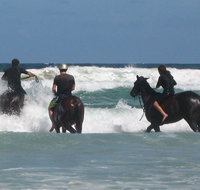 Pegasus Park Equestrian Centre - Accommodation Coffs Harbour