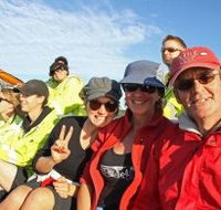 Byron Bay Whale Watching - Accommodation Coffs Harbour