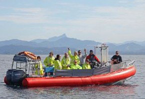 Byron Bay Whale Watching - Accommodation Coffs Harbour 2
