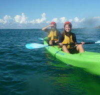 Cape Byron Kayaks - Accommodation Coffs Harbour