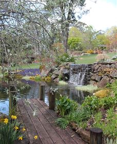 TCP Day Tours - Accommodation Coffs Harbour 4