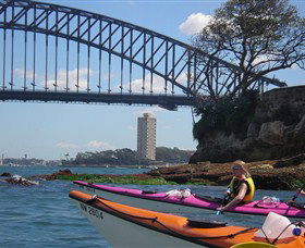 Natural Wanders - Accommodation Coffs Harbour 3