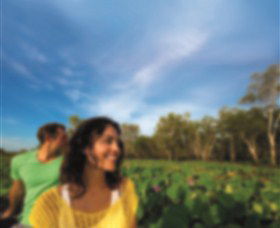 AAT Kings Guided Tours (Top End) - Accommodation Coffs Harbour 3