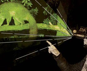 After Dark Nature Tours - Accommodation Coffs Harbour 0