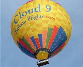 Cloud 9 Balloon Flights - Accommodation Coffs Harbour 0