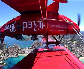 Red Baron Adventure Flights - Accommodation Coffs Harbour 1