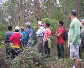 Boronia Tours - Accommodation Coffs Harbour 0