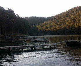 Church Point Ferry Service - Accommodation Coffs Harbour 5