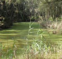 Second Ponds Creek walk - Accommodation Coffs Harbour