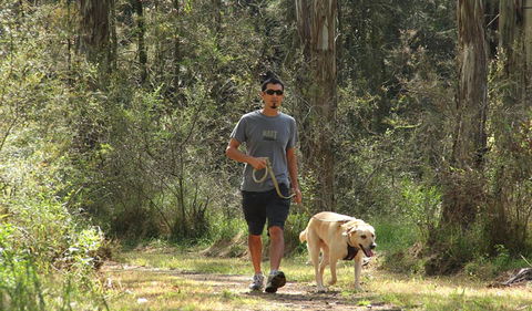 Second Ponds Creek Walk - Accommodation Coffs Harbour 3