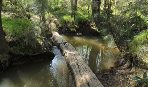 Second Ponds Creek Walk - Accommodation Coffs Harbour 2