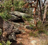 Box Head track - Accommodation Coffs Harbour