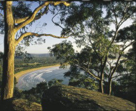 Ocean Beach Umina - Accommodation Coffs Harbour 0