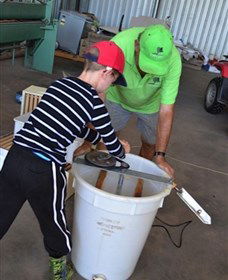 Canoelands Orchard - Accommodation Coffs Harbour 2