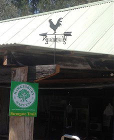 Canoelands Orchard - Accommodation Coffs Harbour 3