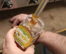 Blue Mountains Honey Company - The Honey Shed - Accommodation Coffs Harbour 1