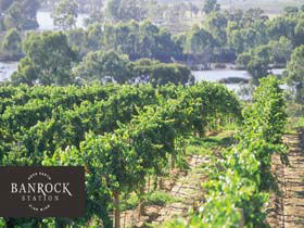 Banrock Station Wine And Wetland Centre - Accommodation Coffs Harbour 0