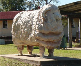 Ram Park - Accommodation Coffs Harbour 1