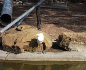 Ram Park - Accommodation Coffs Harbour 3