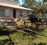 Mr and Mrs Behan Sulky Display - Accommodation Coffs Harbour