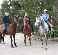 Academy of Dressage - Accommodation Coffs Harbour