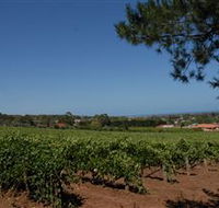 Grancari - Accommodation Coffs Harbour