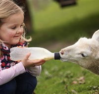 Hahndorf Farm Barn - Accommodation Coffs Harbour