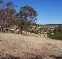 Onkaparinga River National Park - Accommodation Coffs Harbour