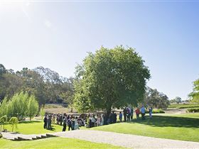 Howard Vineyard - Accommodation Coffs Harbour 1