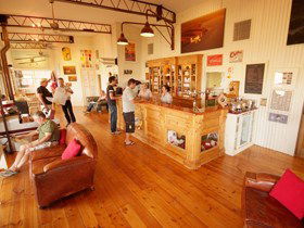 Adelaide Biplanes - Accommodation Coffs Harbour 1