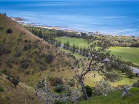 Lady Bay Beach - Accommodation Coffs Harbour 1