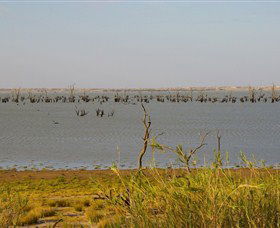 Lake Victoria - Accommodation Coffs Harbour 0