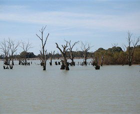 Lake Victoria - Accommodation Coffs Harbour 3