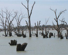 Lake Victoria - Accommodation Coffs Harbour 4