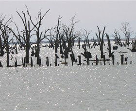 Lake Victoria - Accommodation Coffs Harbour 5