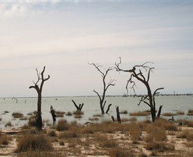 Lake Victoria - Accommodation Coffs Harbour 7