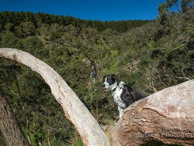 Ingalalla Waterfalls - Accommodation Coffs Harbour 1