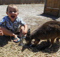 Animal Farm Goolwa - Accommodation Coffs Harbour