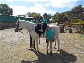 Animal Farm Goolwa - Accommodation Coffs Harbour 2