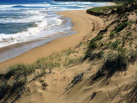 Newland Head Conservation Park - Accommodation Coffs Harbour 0