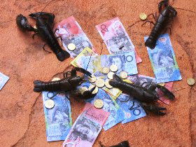 BAILEY BAR CARAVAN PARK - Accommodation Coffs Harbour 2