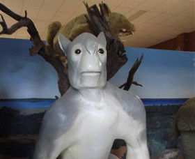 Wentworth Pioneer Museum - Accommodation Coffs Harbour 4