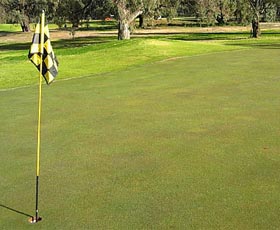 Wentworth Sporting Complex - Accommodation Coffs Harbour 0