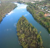 Sturt's Tree - Accommodation Coffs Harbour