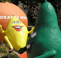 Orange World - Accommodation Coffs Harbour